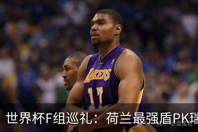 世界杯F组巡礼：荷兰最强盾PK瑞典犀利刀 日本短板明显