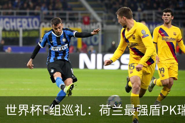 世界杯F组巡礼：荷兰最强盾PK瑞典犀利刀 日本短板明显